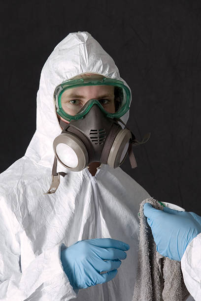 Professional Mold Removal in Washington, KS